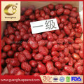 Chinese Red Jujube for Exporting Bulk Price